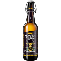 KOJETÍN 11 Parohatej 15l KEG